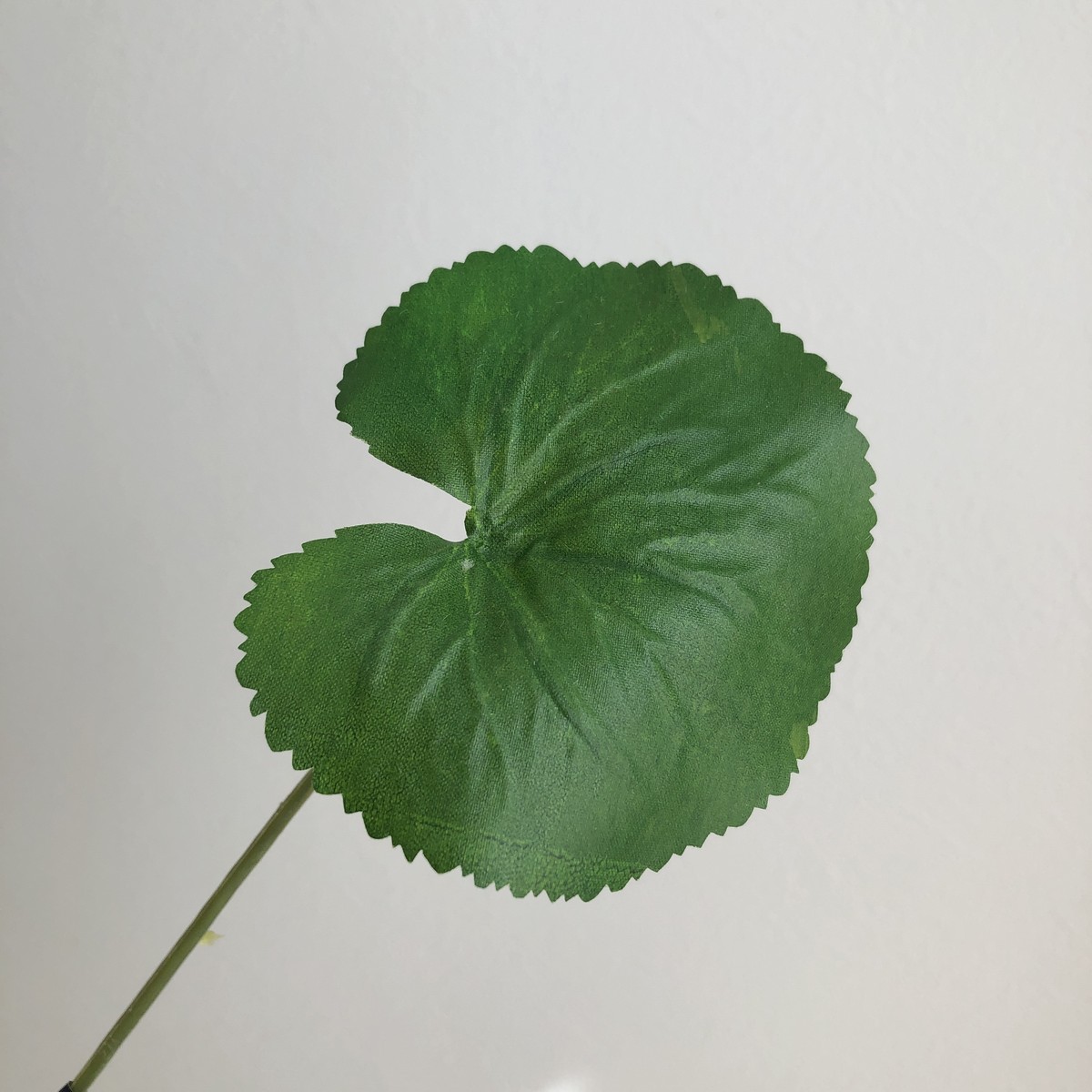 アウトレット◎即日☆【造花】アスカ/ゲイラックス(L) グリーン/A