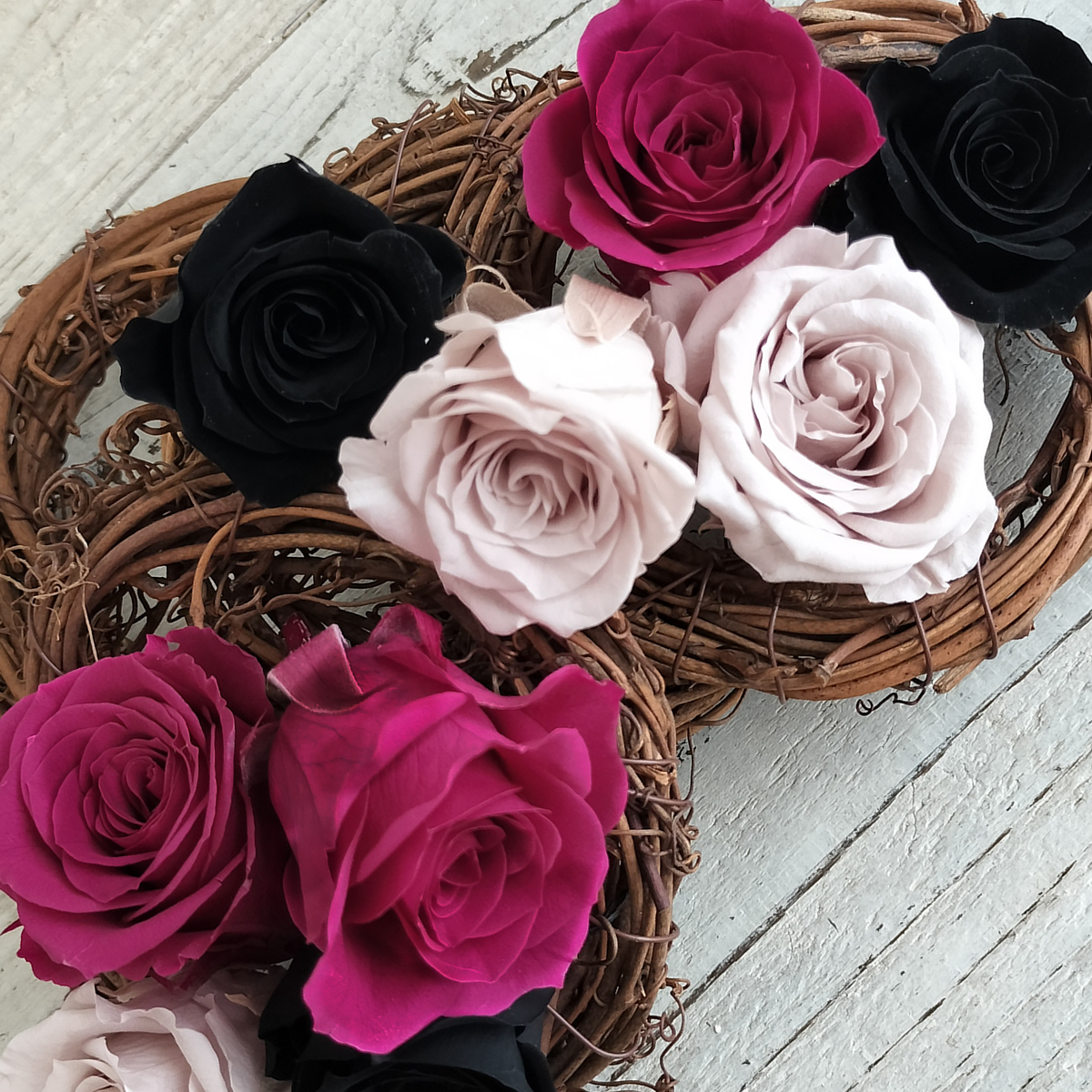 即日☆【プリザーブド】大地農園/いずみ ローズカラーアソート9輪