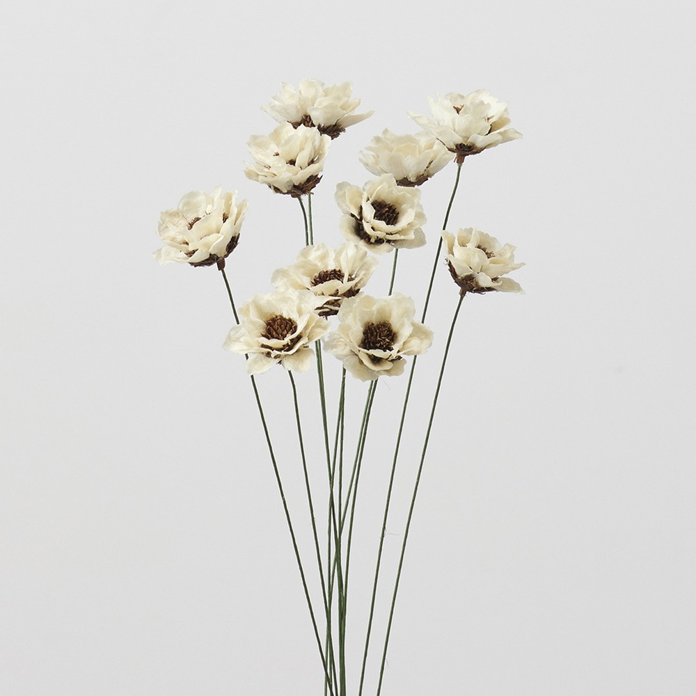即日☆【ハンドメイドフラワー】大地農園/カリナフラワー 10本 白