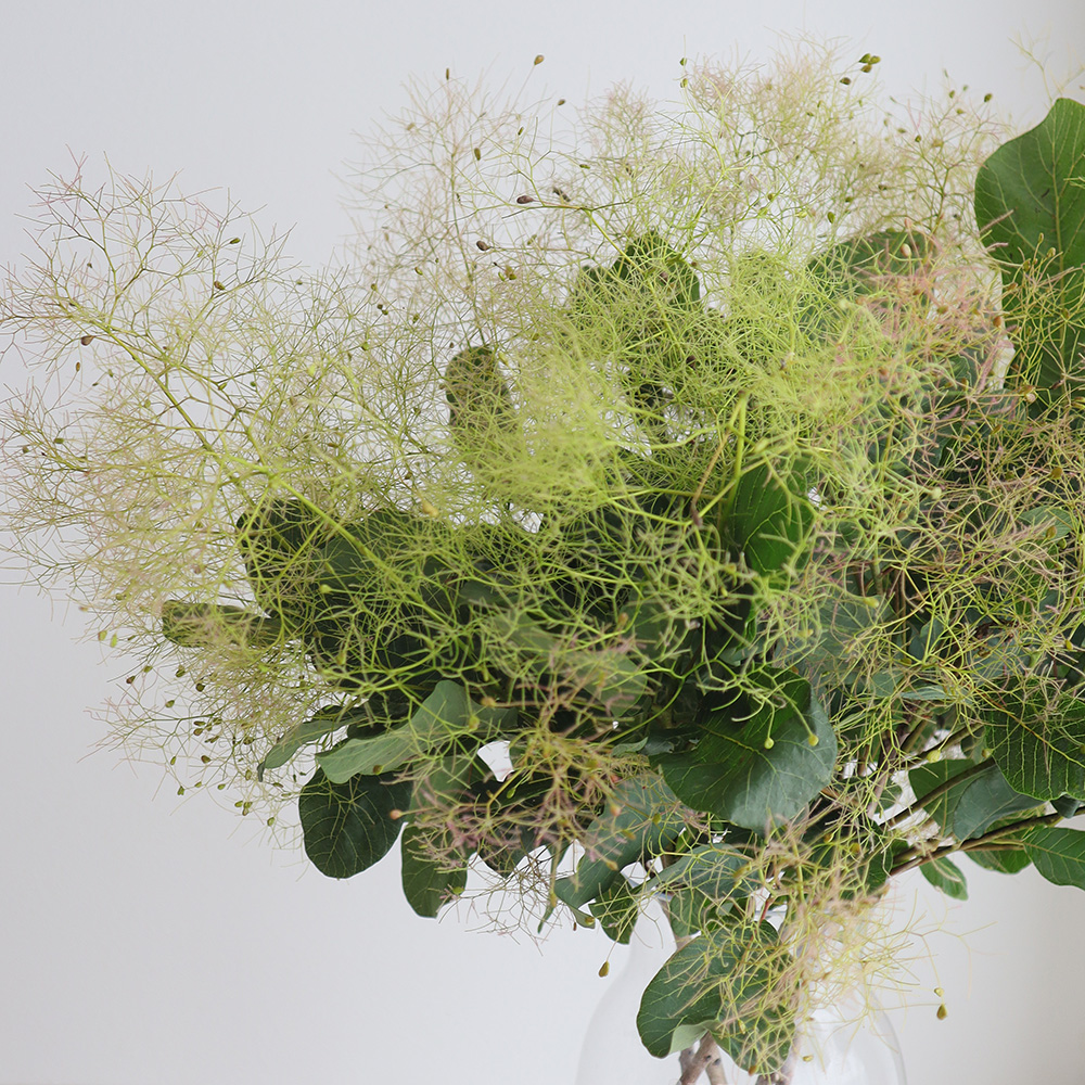 w.o.d.　F.L.O.W.E.R.S. w o d F L O W E R S｜Yahoo!フリマ（旧PayPayフリマ）