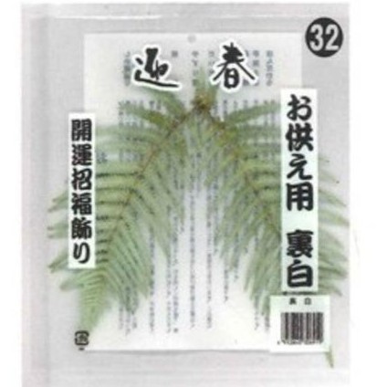 生花/予約】ウラジロの葉・パック入り(約20枚前後)※キャンセル不可商品