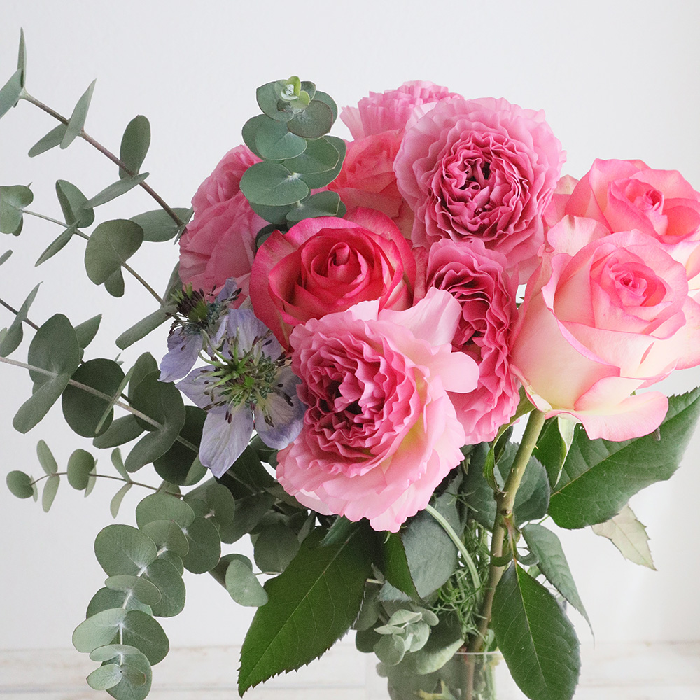 【直前!!】母の日☆バラ ジュミリア 複色:白×ピンク 60センチ 【生花