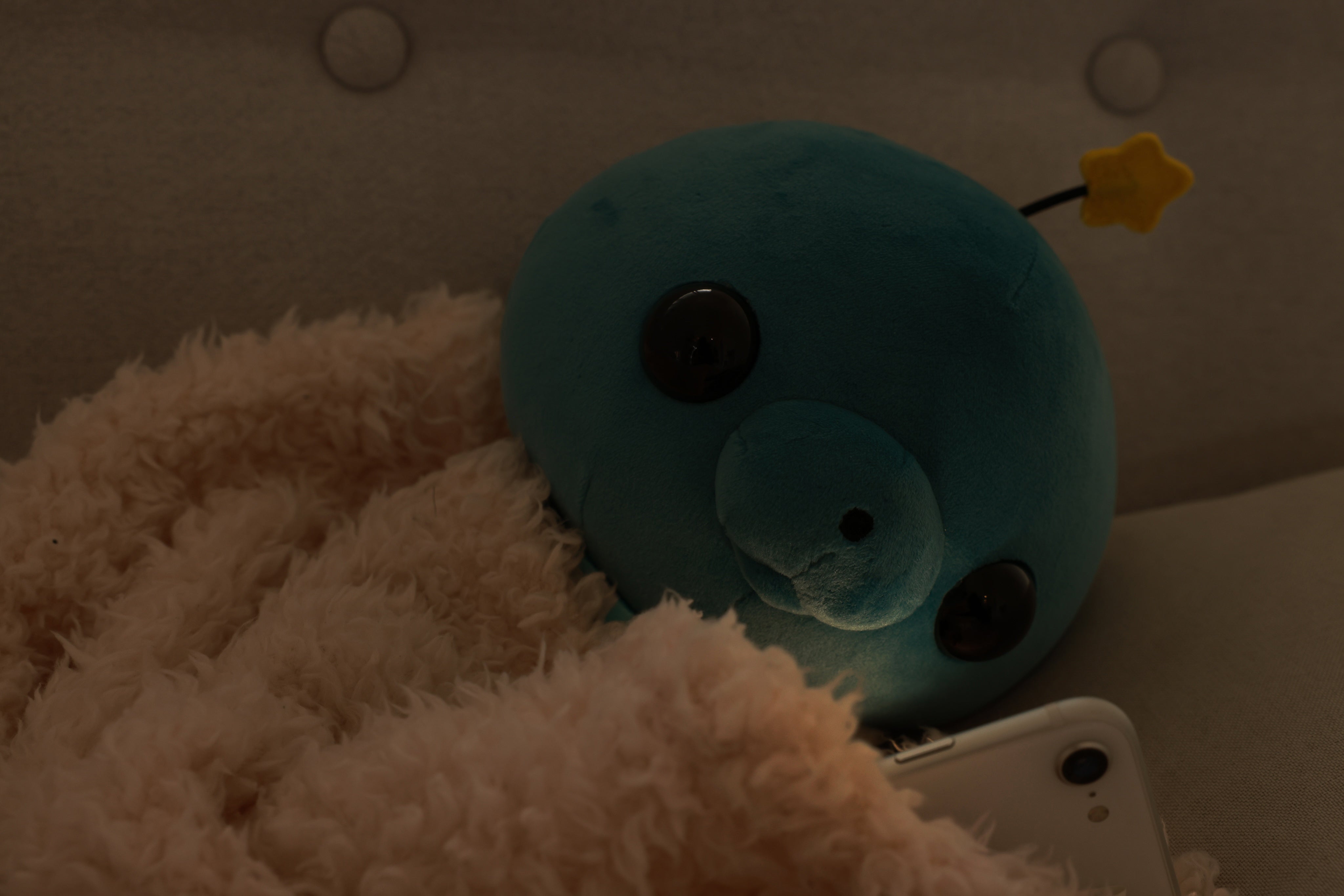 教育番組 タマ ぬいぐるみ化企画 - CAMPFIRE (キャンプファイヤー)