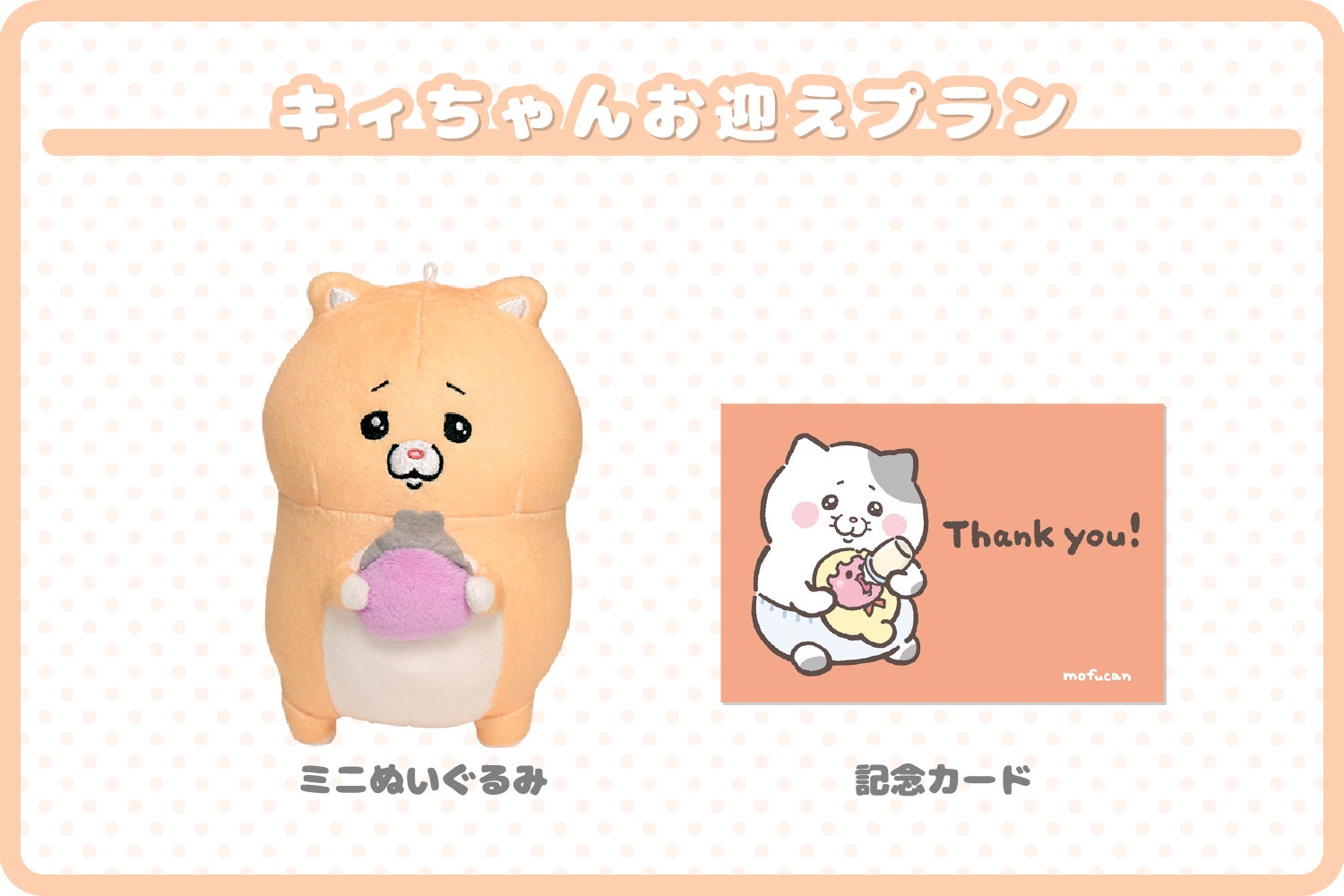 やさしい猫のポンちゃんクッション＆キィちゃんミニぬいぐるみ