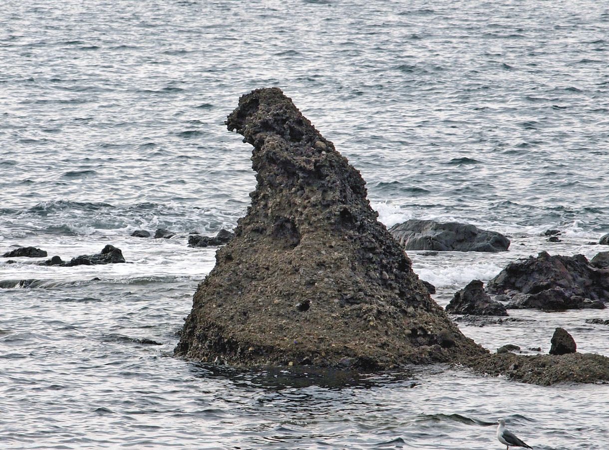 動画あり】ゴジラ岩は陸続き、トトロ岩は片耳に 能登の海岸沿い、景観