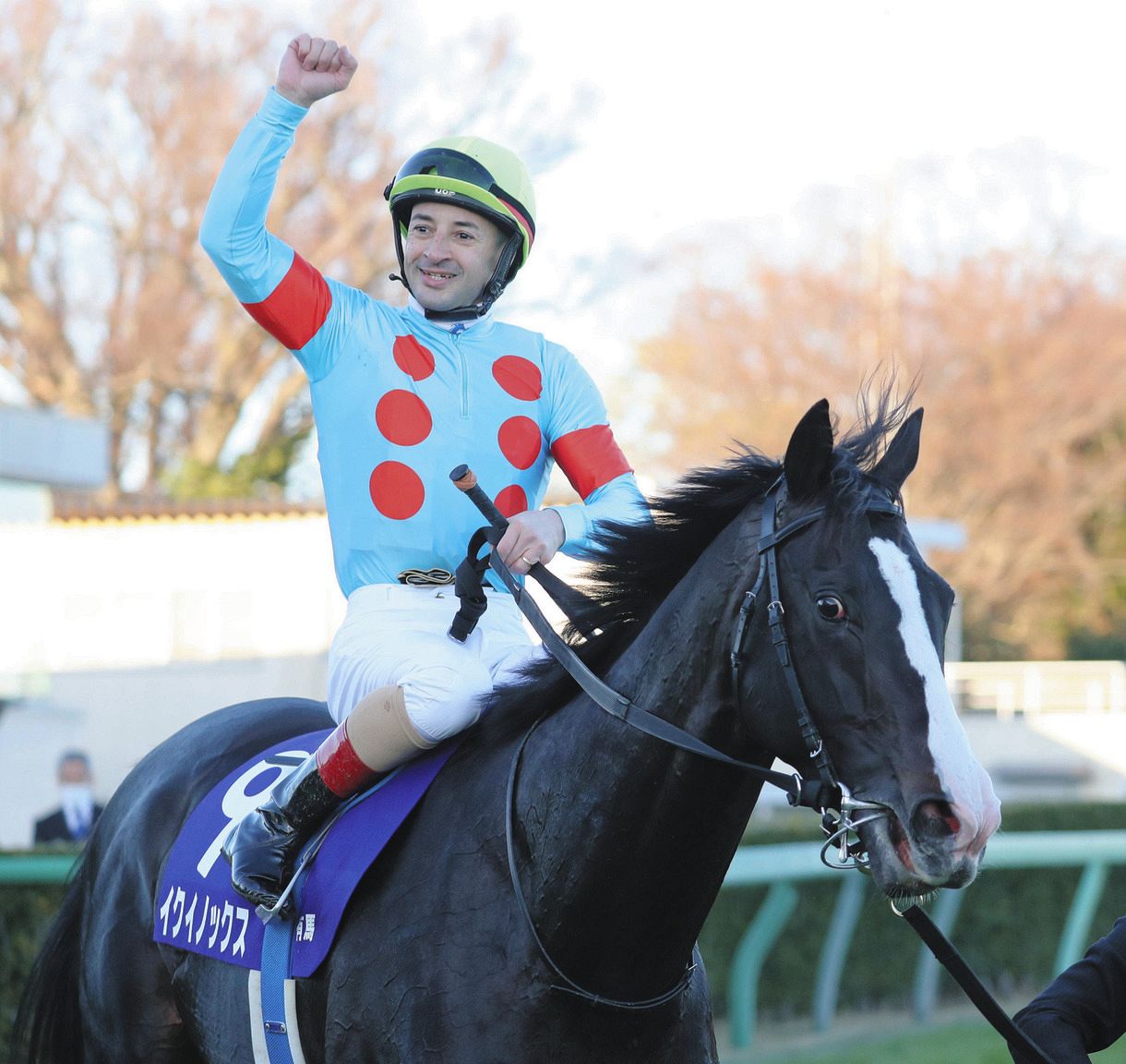 まねき馬倶楽部年度代表馬sp 2346イクイノックス