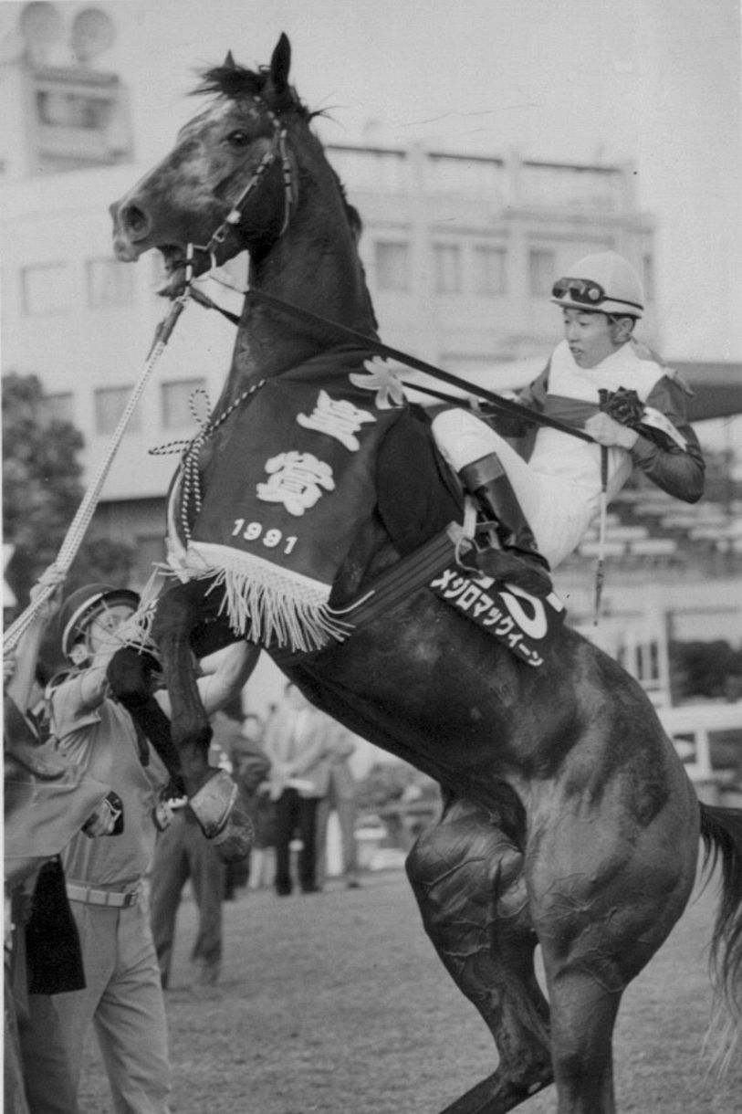 写真8枚】◇武豊騎手の天皇賞・春 8勝プレイバック：中日スポーツ