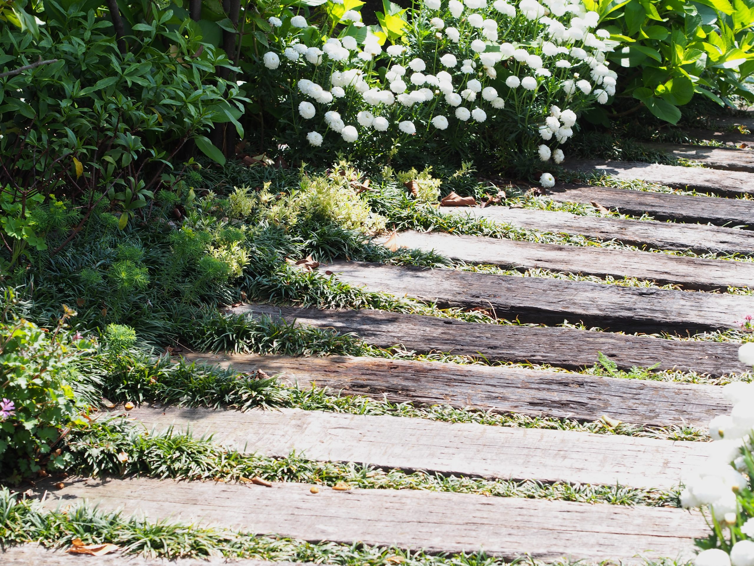 プロが教える】枕木を使ったおしゃれなガーデンを実現する方法！通路