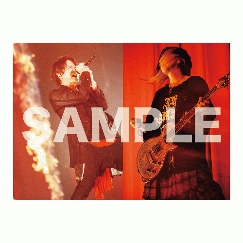 商品詳細ページ | G-DIRECT