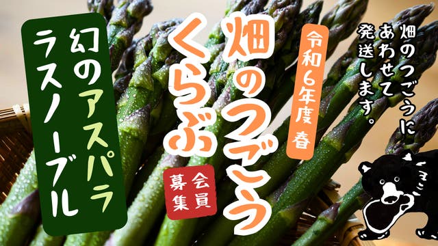 北海道・美瑛町】幻のアスパラ「ラスノーブル」を、旨さのピークを