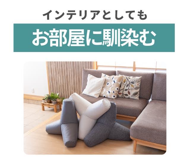 座るだけで筋肉活動量8倍！】ゆる筋トレビーズクッション -Tetra Hug