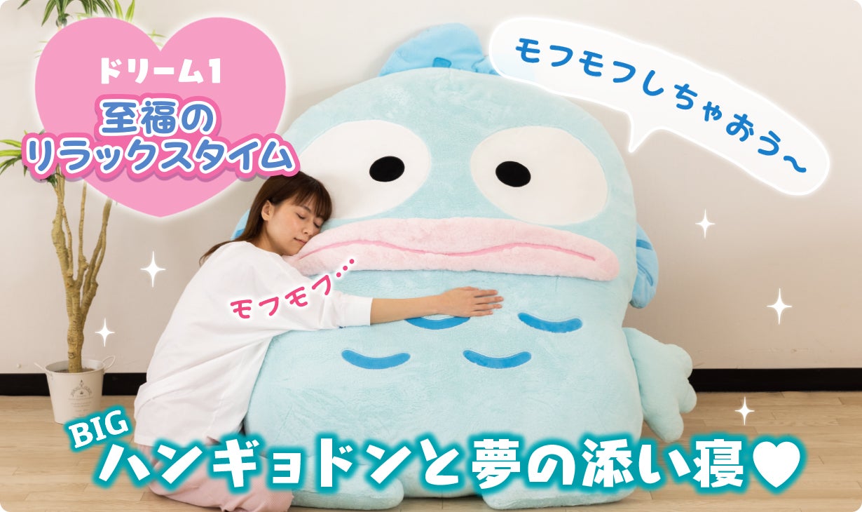 ハンギョドンと暮らそう☆夢の超BIGふかふかぬいぐるみクッション