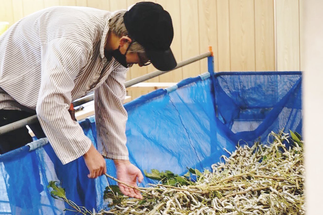 絶滅寸前の国産シルクを守れ！】地球と人を想い、農業から手がけた