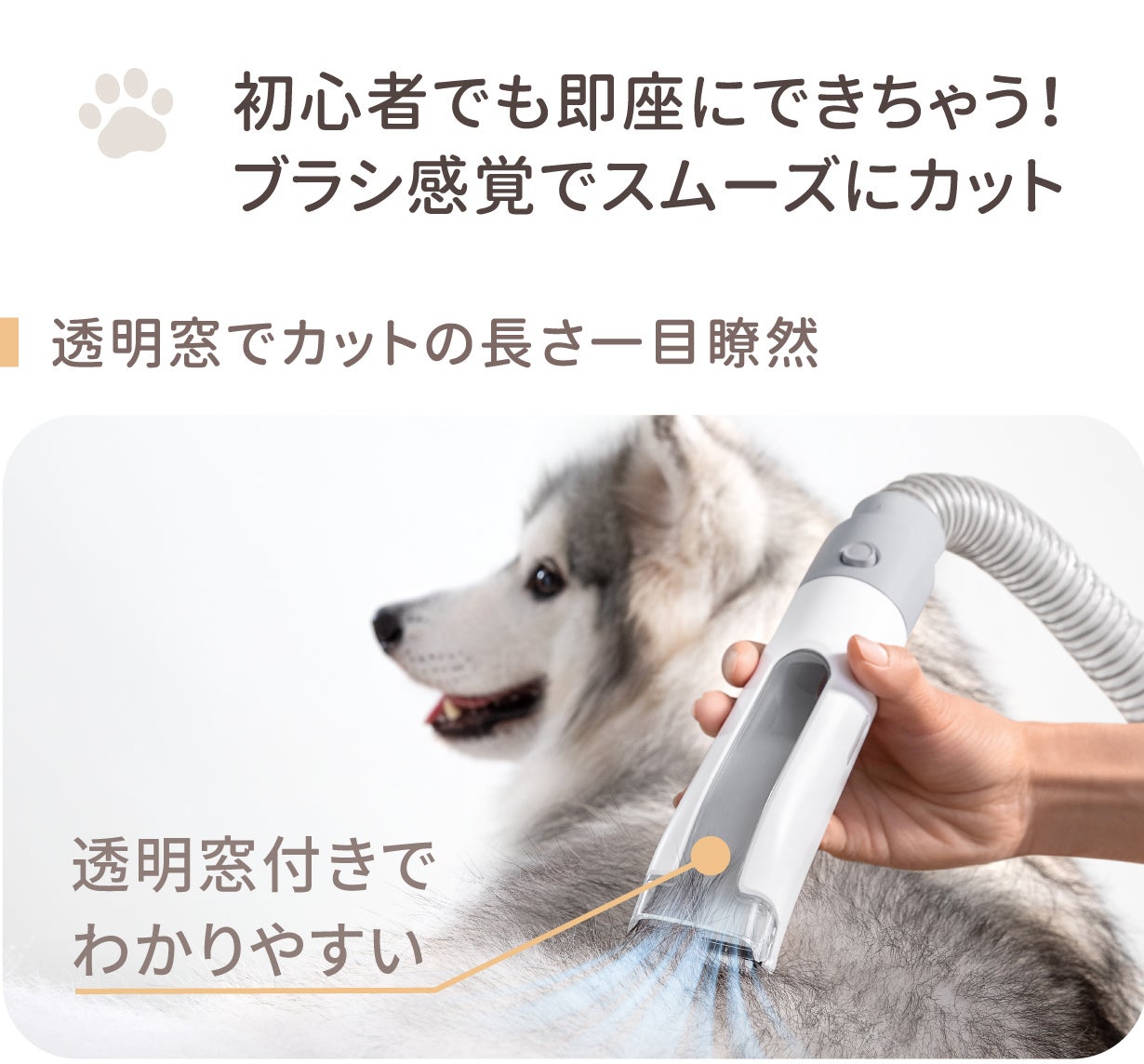 毛を吸引しながら楽々ブラシ＆カット！Homerunpetペットグルーミング