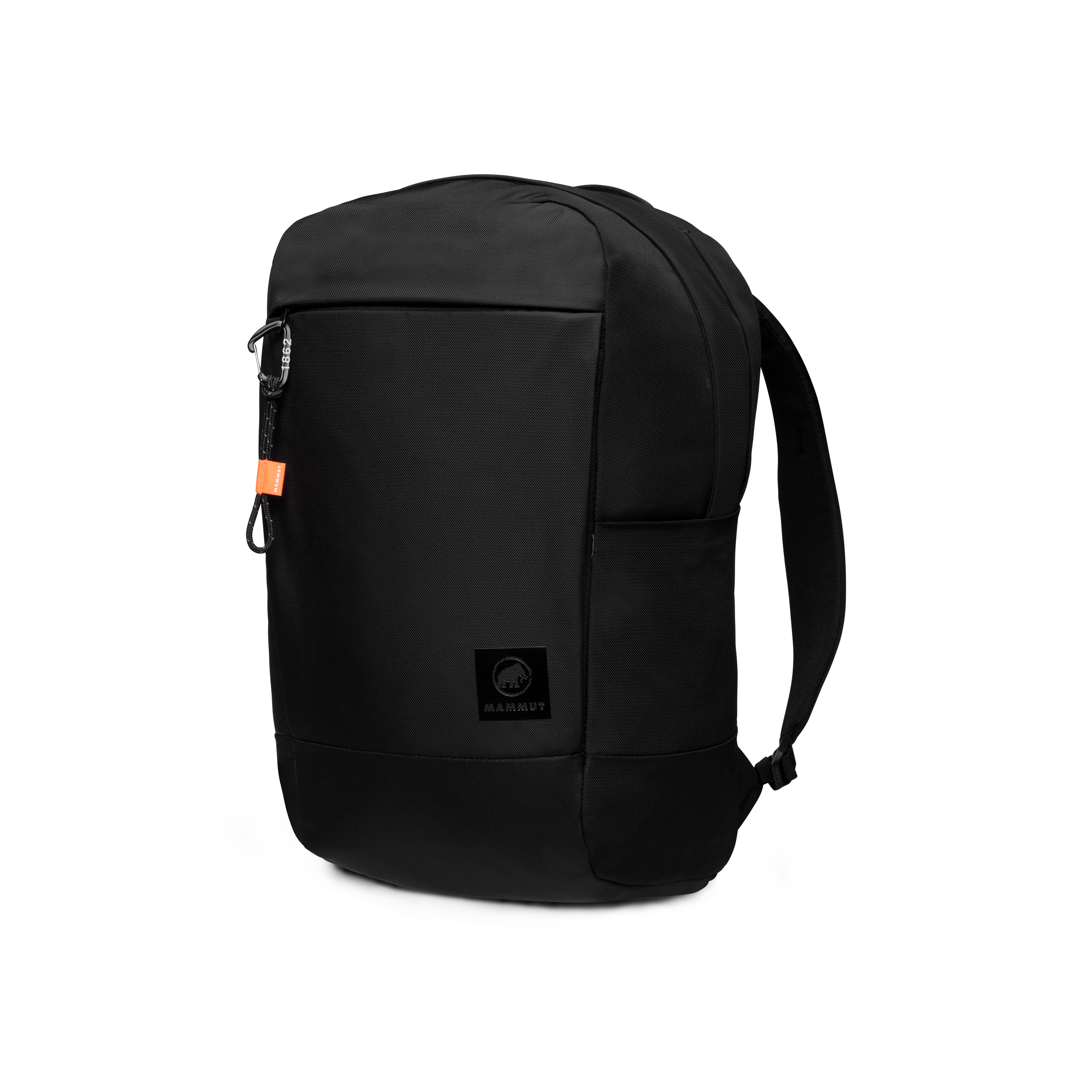 Seon Transporter 25 | Mammut