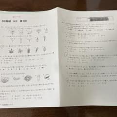 m44730748979_1.jpg?1723420483