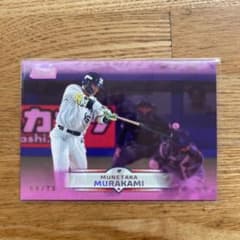 m44982919186_1.jpg?1758328632