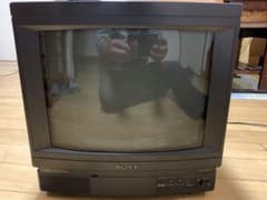 m44084038692_1.jpg?1666773318