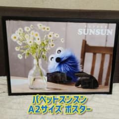 m48574615731_1.jpg?1765279096