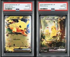 連番】PSA10 ピカチュウex SAR スタートデッキ100 764/742 - メルカリ