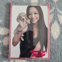 m48913235251_1.jpg?1683500629