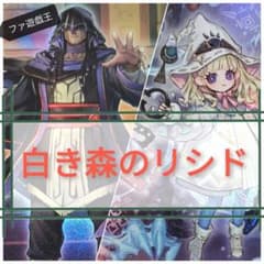 遊戯王デッキ 白き森×リシドデッキ ガチ構築 - メルカリ