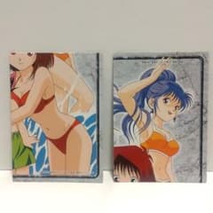 m42961105677_1.jpg?1736896350