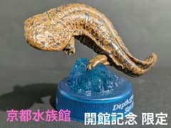 m42378686252_1.jpg?1743033406