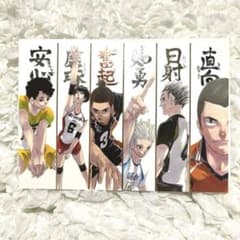 m43457294204_1.jpg?1718781209