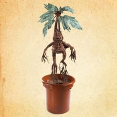 m43792944629_1.jpg?1738315828