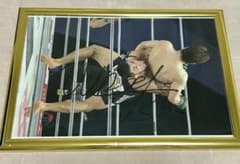 RIZIN シェイドゥラエフ 直筆サイン RIZIN師走の超強者祭り 朝倉未来