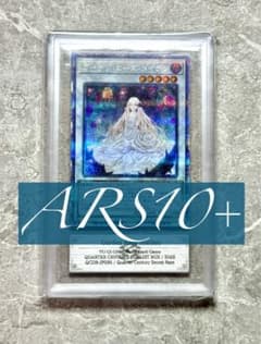 ARS10+ 世界に12枚 ガーデン・ローズ・メイデン 25th - メルカリ