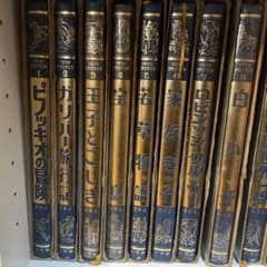 少年少女世界文学全集 国際版 19巻セット 小学館 - メルカリ