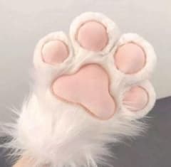 m51557620846_1.jpg?1727790239