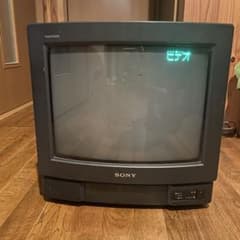 m53042955544_1.jpg?1721909429