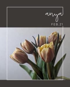 FEB.21 チューリップ☆切り花セット - メルカリ