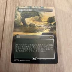 吹きさらしの荒野 mtg - メルカリ