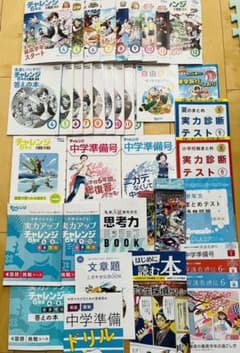 進研ゼミ小学講座 6年生 チャレンジ 4教科1年間分（2021年度版