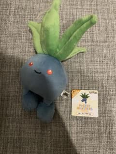 m69940467153_1.jpg?1755422328