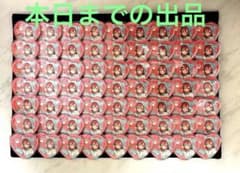 米女メイ ゆめかわガーリー2025 ハート缶バッジ63個 - メルカリ