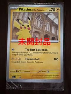 Pikachu at the Museum ピカチュウ ロンドン自然史博物館 - メルカリ
