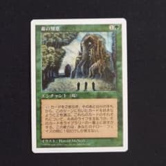 MTG 第5版 緑属性 エンチャント 日本語版 森の知恵 - メルカリ
