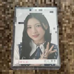 m14806697786_1.jpg?1724399803