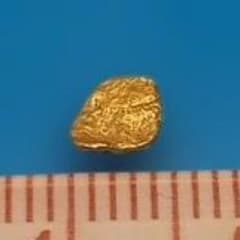 国産砂金 甲 中粒 天然金 自然金 GOLD - メルカリ