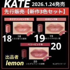 新作3色セット】1月24日発売 新作 リップモンスター KATE 先行発売