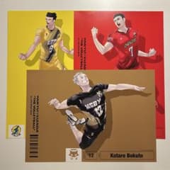 ハイキュー Vリーグ A4ポスターコレクション 鷲尾 白馬 木兎 - メルカリ