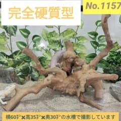 No.1157】シェルター流木 爬虫類レイアウト✫インテリア✫エアー