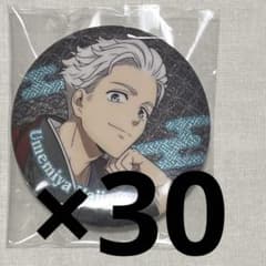 WIND BREAKER 梅宮 缶バッジ - メルカリ