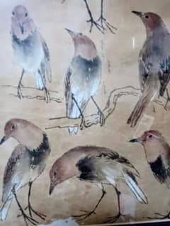 掛け軸桐箱入り評価額有り 美術年鑑第十五号評価34万5千円游鯉図 作者