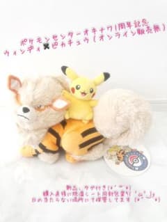 ウィンディ ピカチュウ 沖縄ポケモンセンター1周年記念品 店舗販売限定